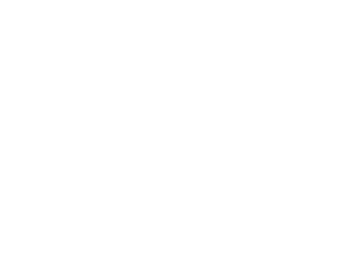 Technici